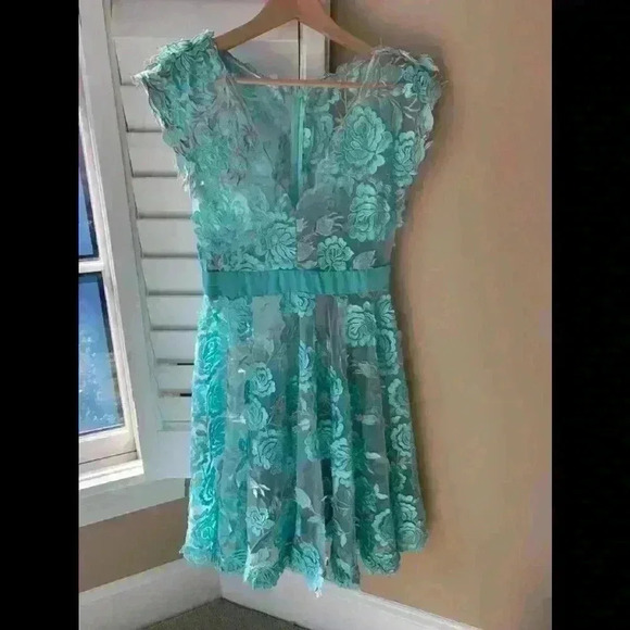 Gorgeous Turquoise and Silver hand made lace dress. - Picture 7 of 13